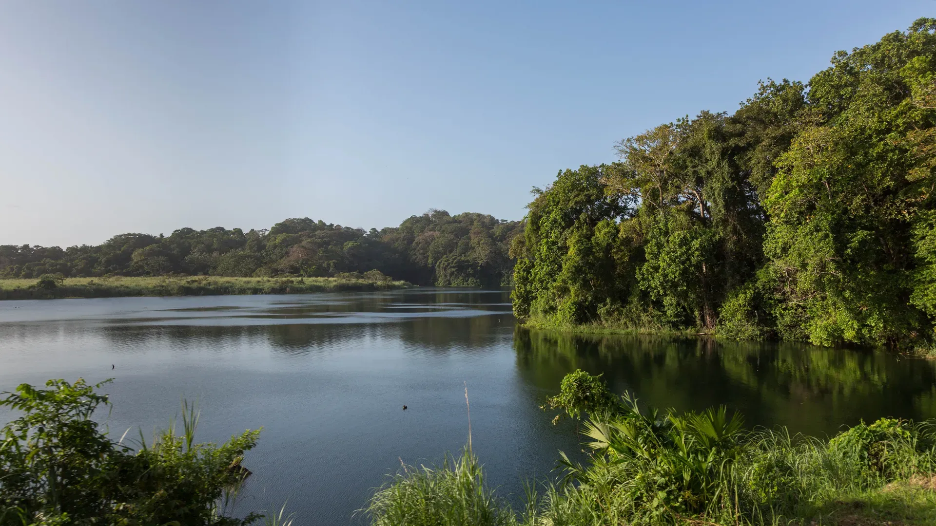 Gatun Lake
