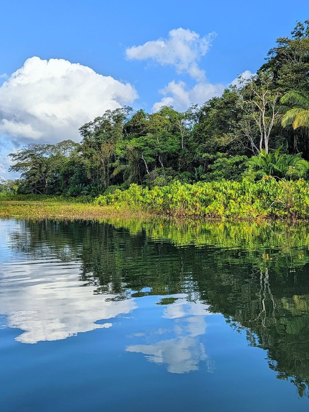 Gatun Lake view