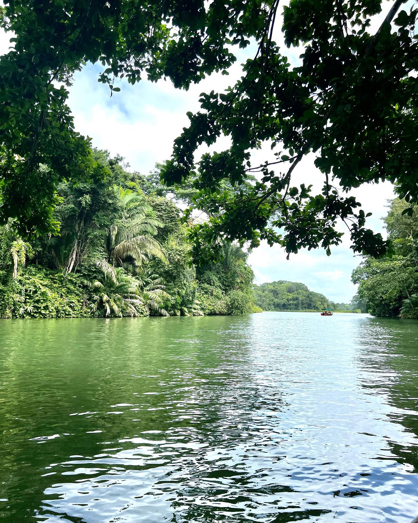 Gatun Lake view